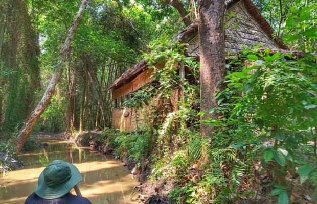Cầu ván gỗ xuyên rừng tràm