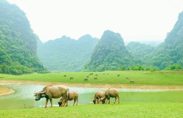 Cao Bang in spring