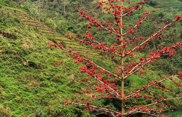 Cao Bang in spring