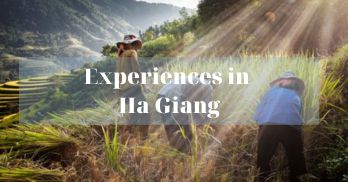 The top 07 unique experiences in Ha Giang you should not miss - Handspan Travel Indochina