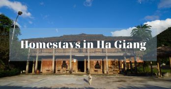 The top 07 amazing homestays in Ha Giang you should not miss