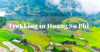 Trekking in Hoang Su Phi: Exploring the beauty of the terraced rice fields