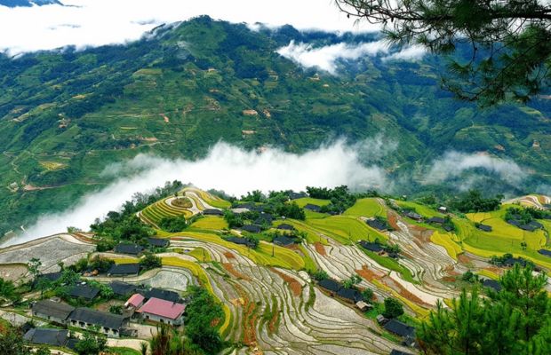 Ban Phung in Hoang Su Phi