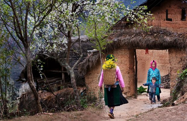 Ha Giang in spring