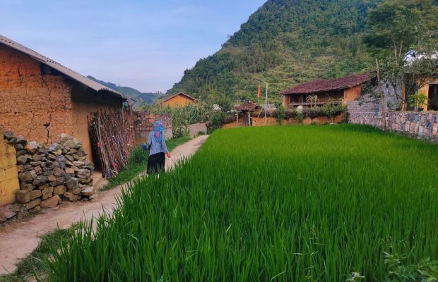 Lo Lo Chai Village in the summer