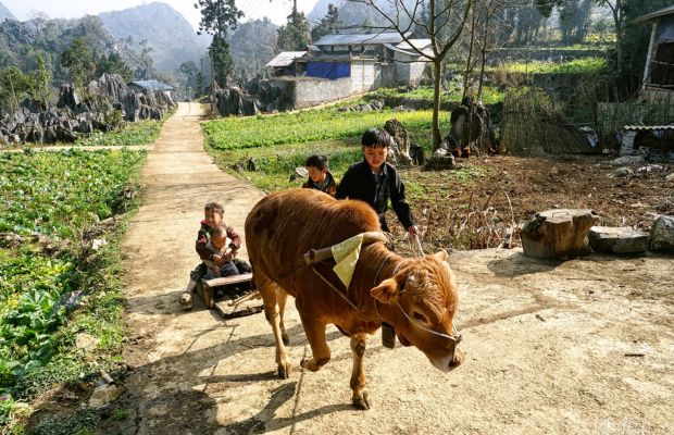 Local children in Lao Xa Village