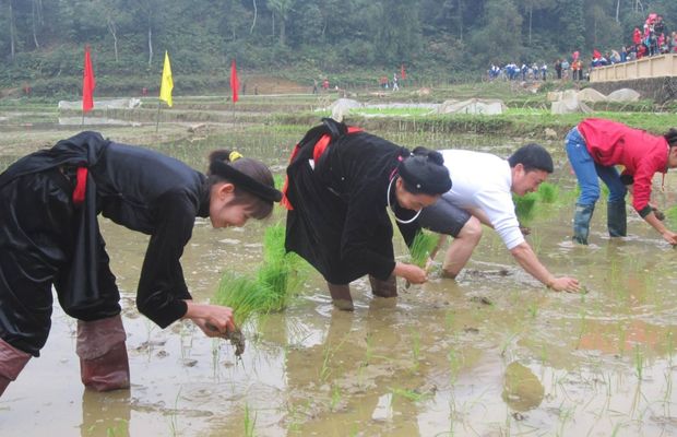 A featured activity in the Long Tong Festival