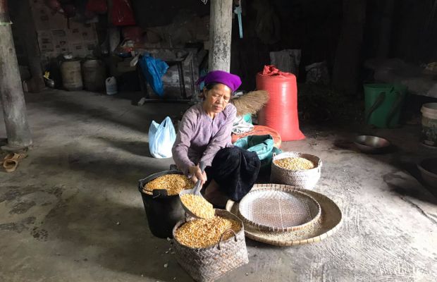 Making corn wine in Thien Huong Village