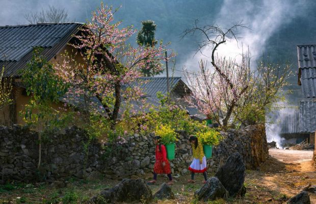 Spring in Lao Xa Village