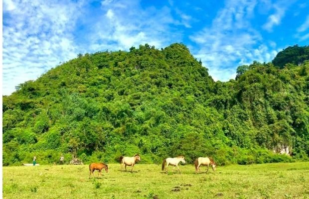 Dong Lam Plateau