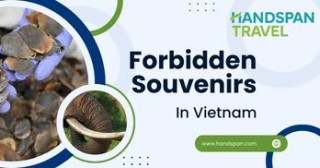 Forbidden Souvenirs in Vietnam that you should note - Handspan Travel Indochina