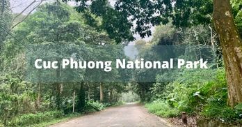 Cuc Phuong National Park - one of Vietnam’s largest nature reserve