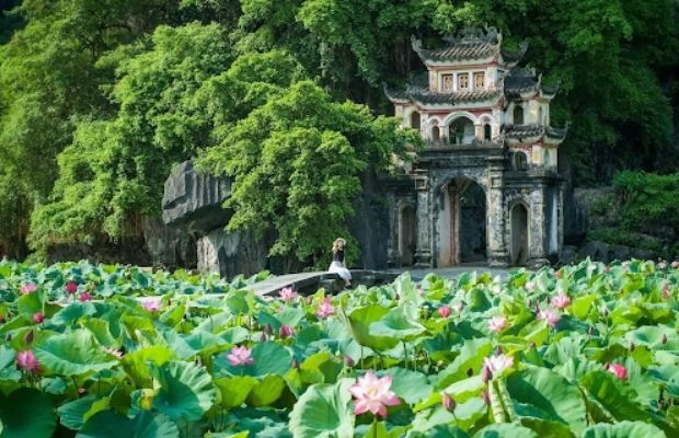 The stunning lotus pond in front of the Bich Dong pagoda 
