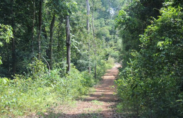 Phu Quoc National Park trekking route