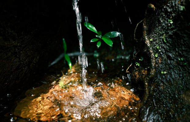 Phu Quoc National Park