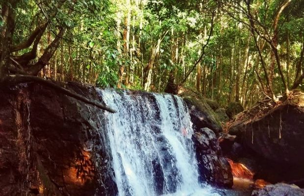 Tranh Stream