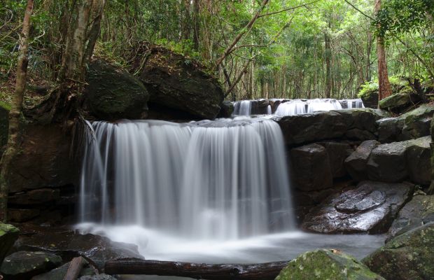 Tranh Stream