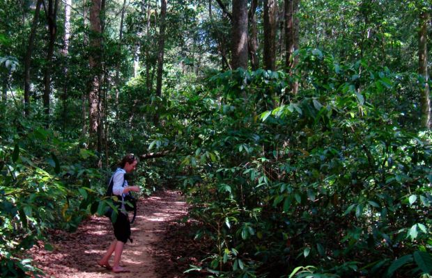 Trekking in Phu Quoc National Park