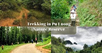 Trekking in Pu Luong Nature Reserve - Things to know and prepare