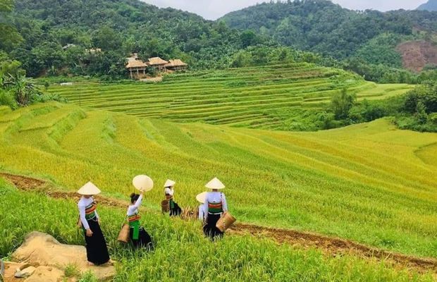 Stunning landscape in Don Village