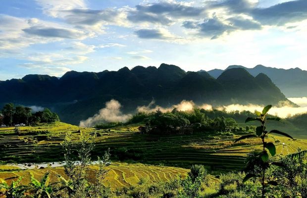 Terraced rice fields in Don Village