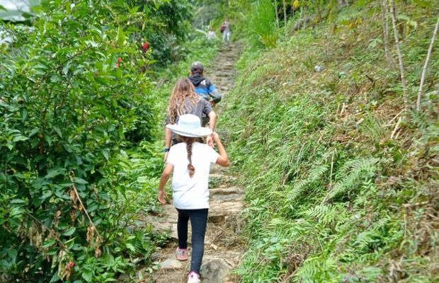 Trekking in Pu Luong Nature Reserve