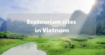 Exploring the top 09 amazing ecotourism sites in Vietnam - Handspan Travel Indochina