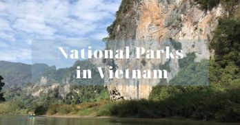 The top 07 national parks in Vietnam - Handspan Travel Indochina