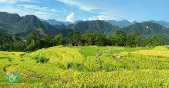 Tribal Villages in Pu Luong