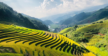 Everything you should know before traveling to Sapa