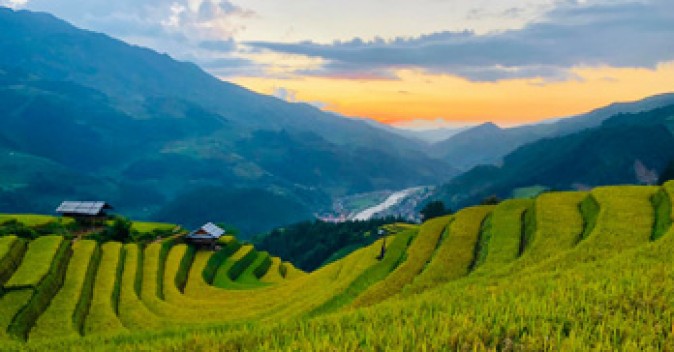 This Year’s ripening rice season in Northwest Vietnam