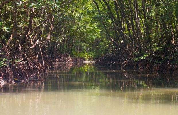Can Gio Mangrove Biosphere Reserve