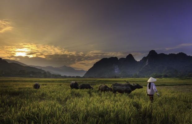 Slow travel in Vietnam