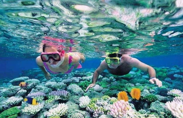 Snorkeling on Cu Lao Cham