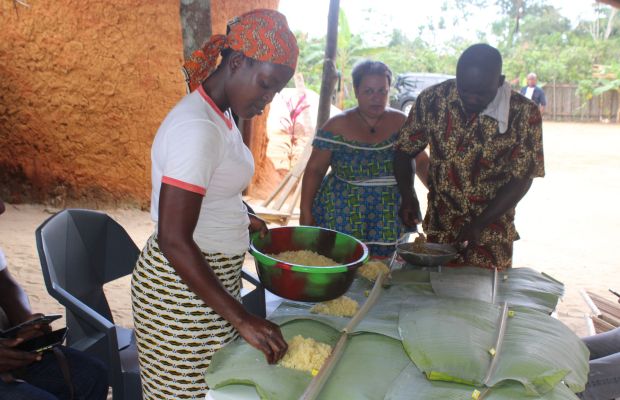 Sustainable Tourism Project in Assouba, Cote d'Ivoire