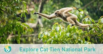 Everything you need to know before going to Cat Tien National Park