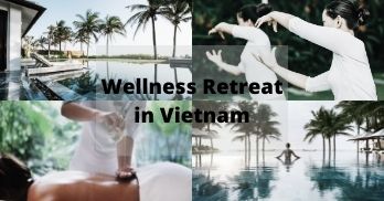 Wellness retreat has appeared in Vietnam as a new type of tourism