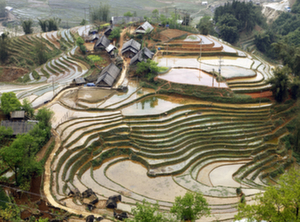 sapa_intermediate_trek_1_night_homestay_2_days