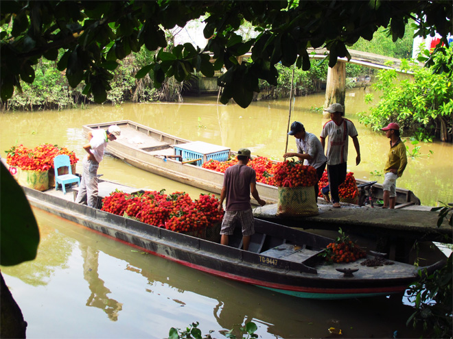 Image result for mekong ecolodge